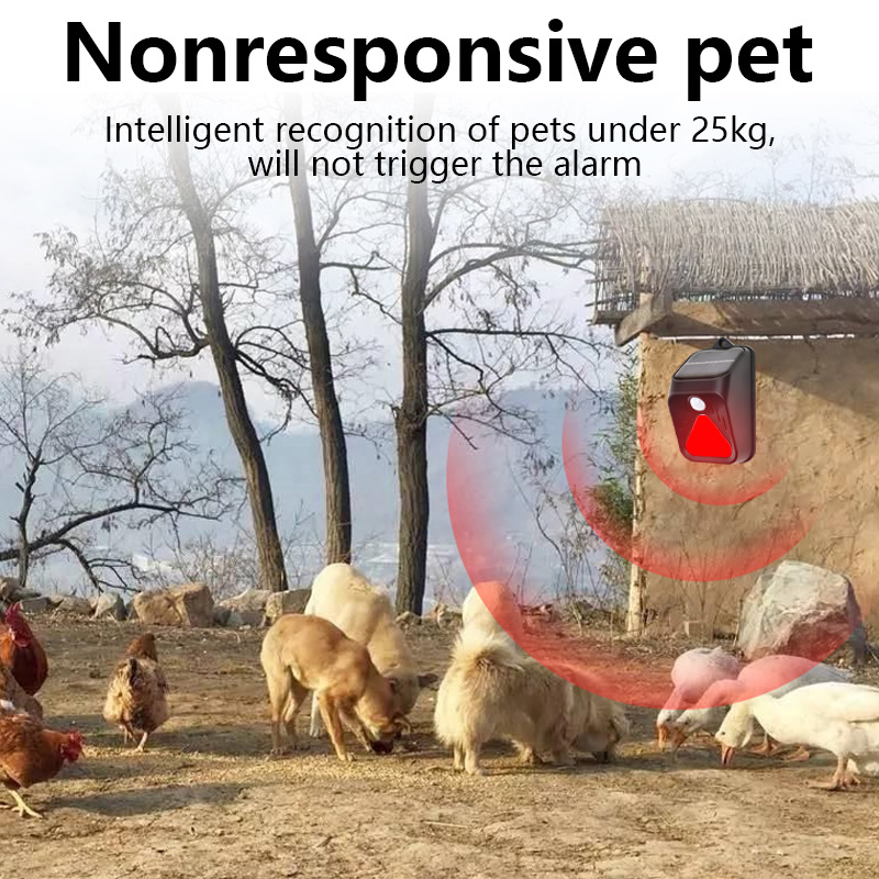 Rilevatore di sensori di movim - Home Security Yard Sensors recensione e prezzo