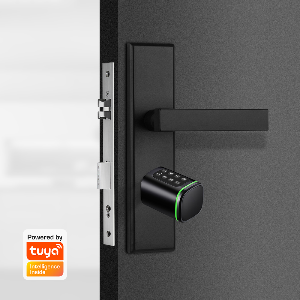 Serratura a cilindro intellige - Home Security Tips recensione e prezzo